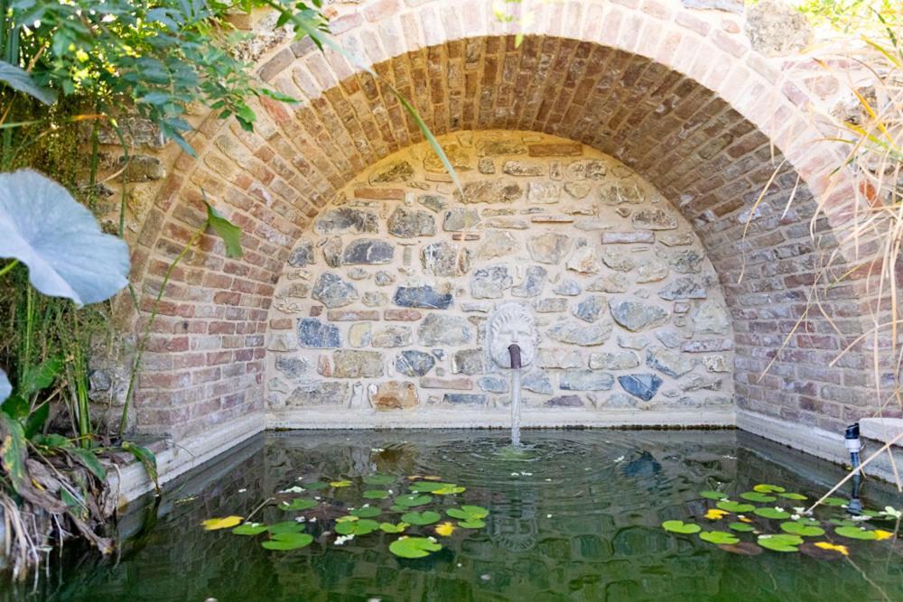 Villa Privata Con Piscina A Riparbella カステッリーナ・マリッティマ エクステリア 写真